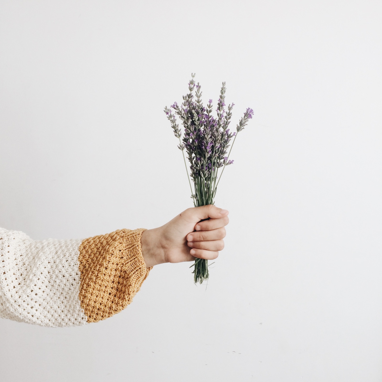 How to Build Branded Photography Studio?