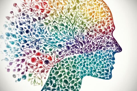 Understanding, Schizophrenia spectrum disorders, Range